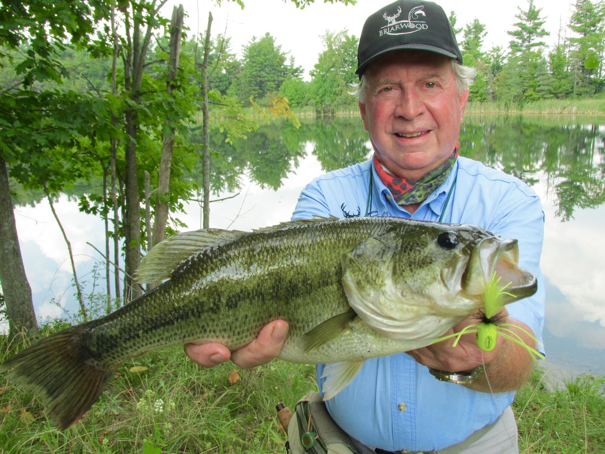 bass spawning season Archives | Briarwood Sporting Club