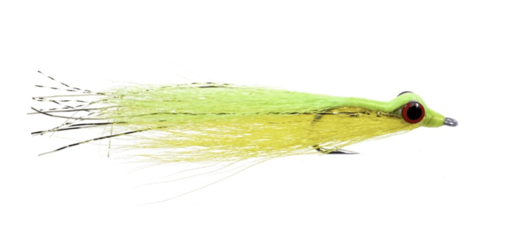 Fly Fishing For Bass - Spring Time - Blog  Fly Shop